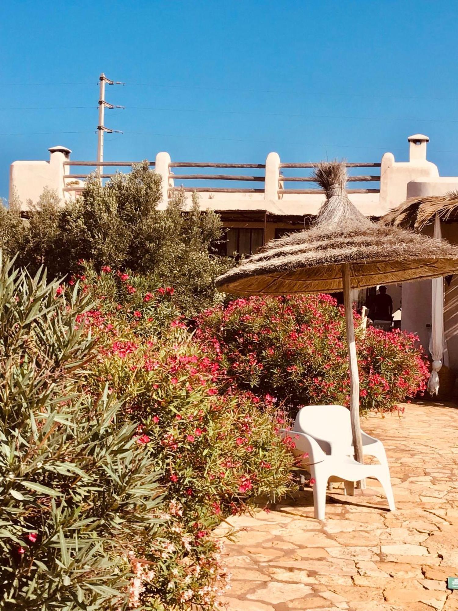 Dar Alya Essaouira Maison et table d'hôtes Ghazoua Exterior foto
