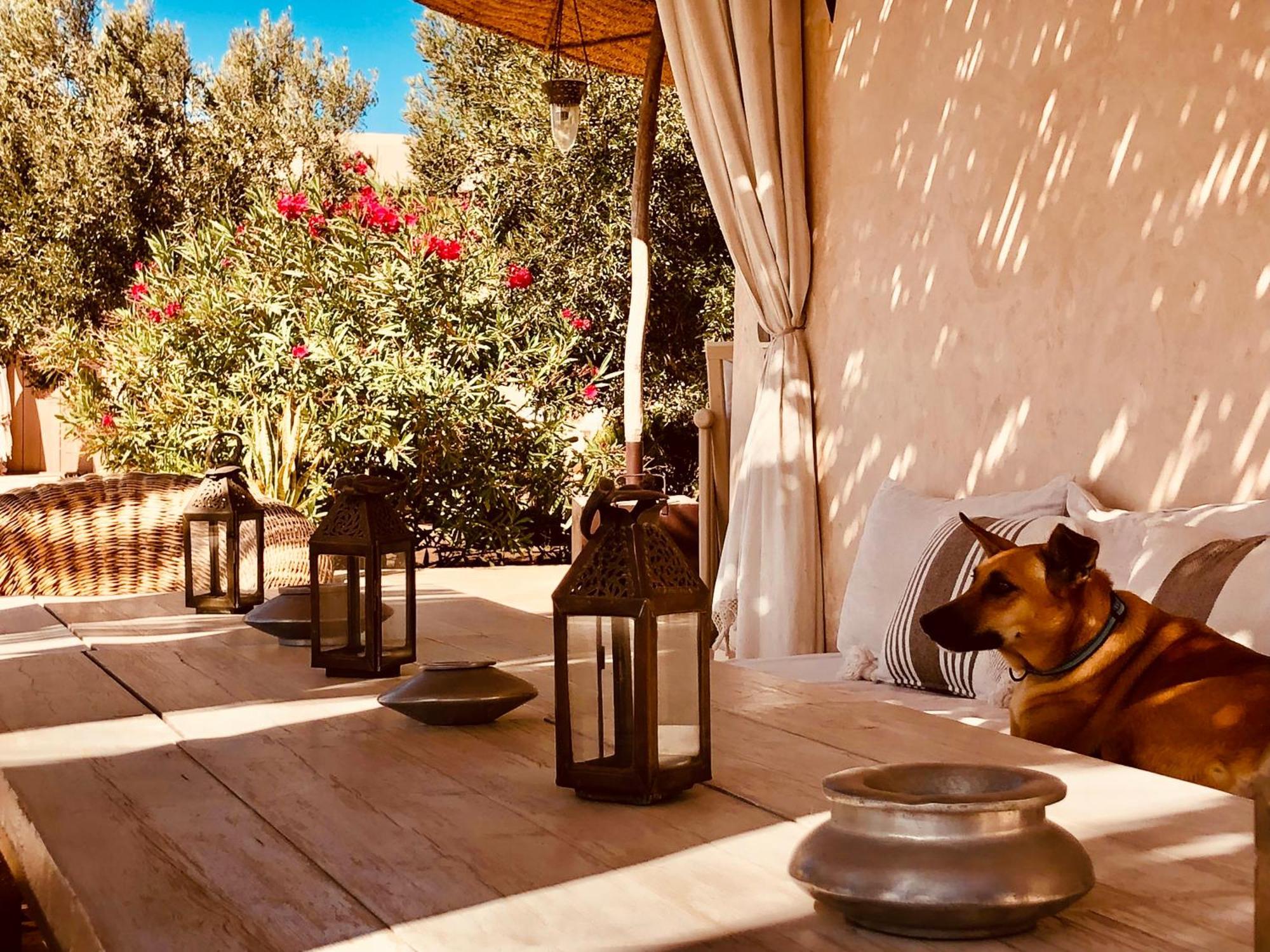 Dar Alya Essaouira Maison et table d'hôtes Ghazoua Exterior foto