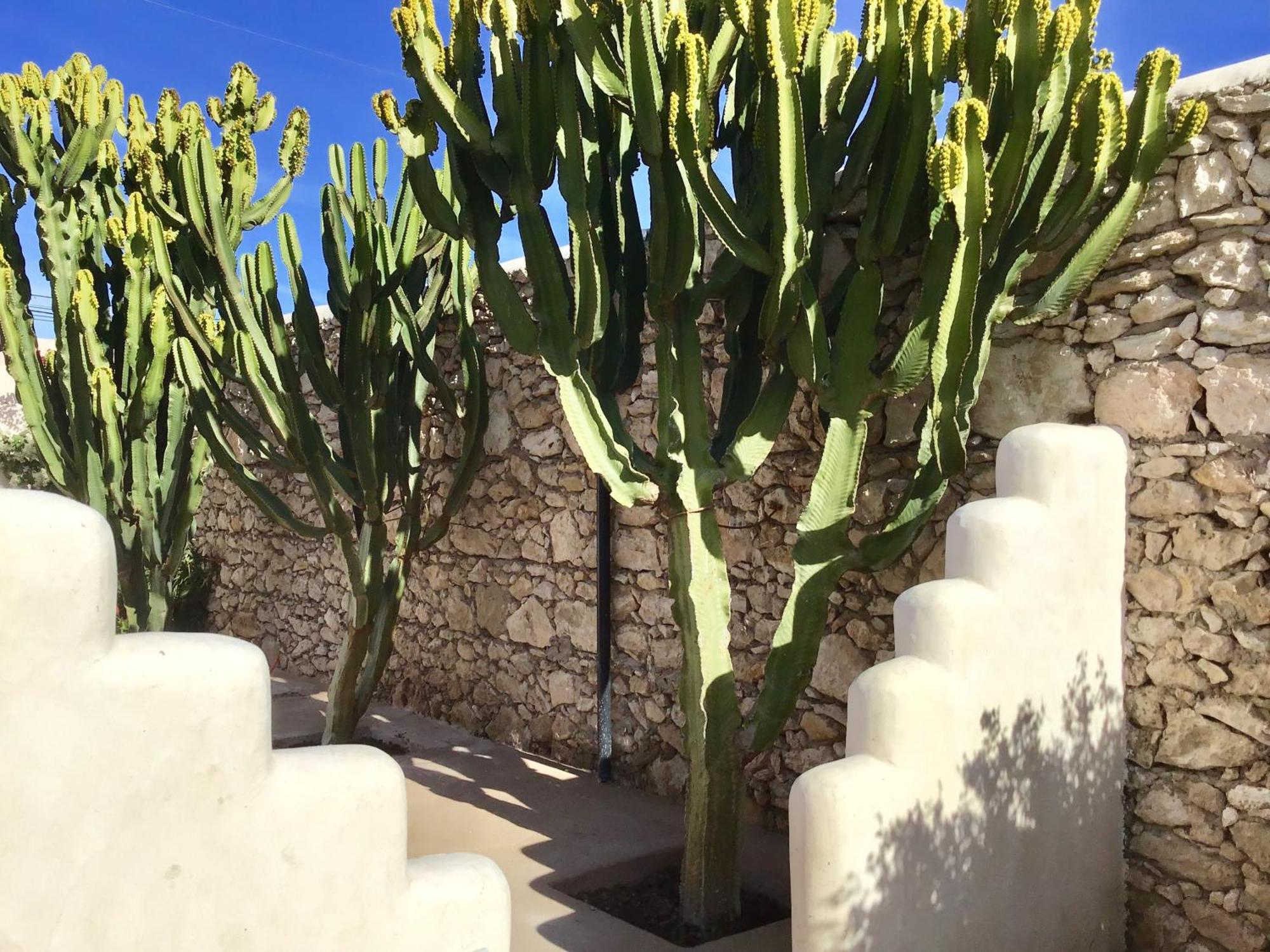 Dar Alya Essaouira Maison et table d'hôtes Ghazoua Exterior foto