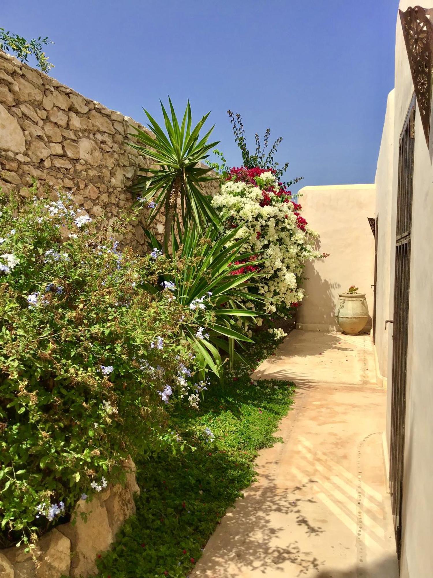 Dar Alya Essaouira Maison et table d'hôtes Ghazoua Exterior foto