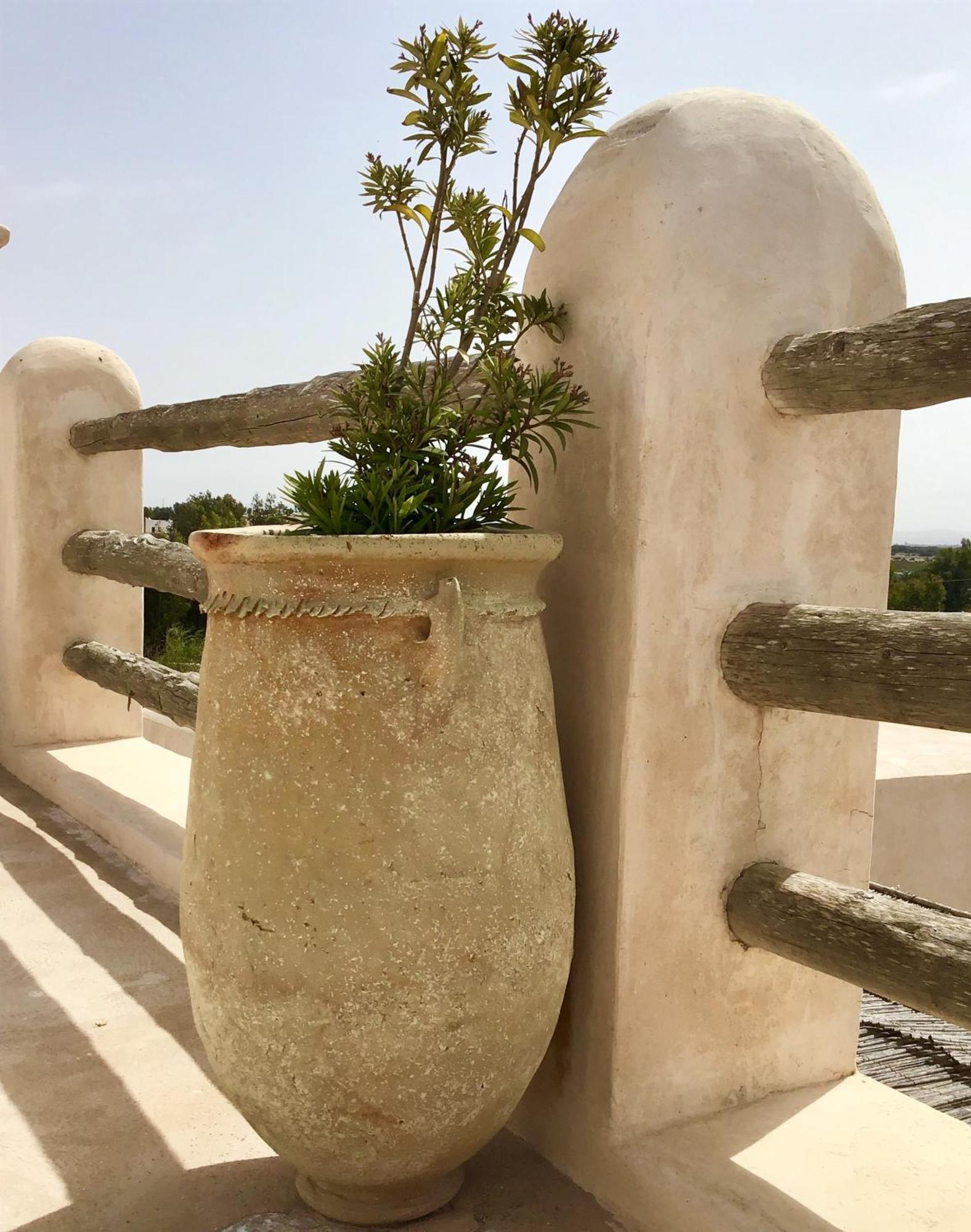 Dar Alya Essaouira Maison et table d'hôtes Ghazoua Exterior foto